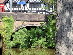 2025 Bury 031 Worsley Kanal