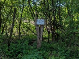 20260509_090003545