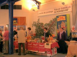 2009 Weihnachtsmarkt Tulle - 027